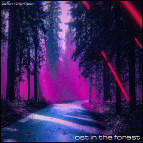 Lost In the Forest