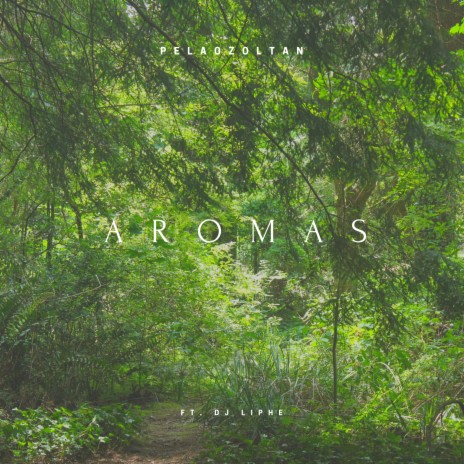 Aromas ft. Dj Liphe | Boomplay Music