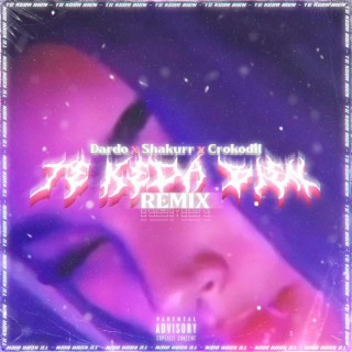 TE KEDA BIEN (REMIX)