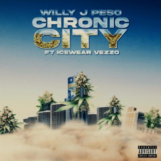 Chronic City