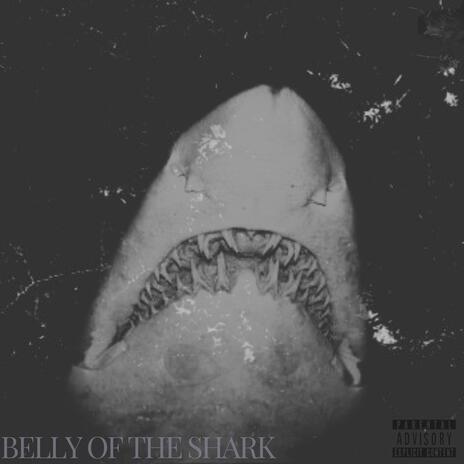 BELLY OF THE SHARK | Boomplay Music