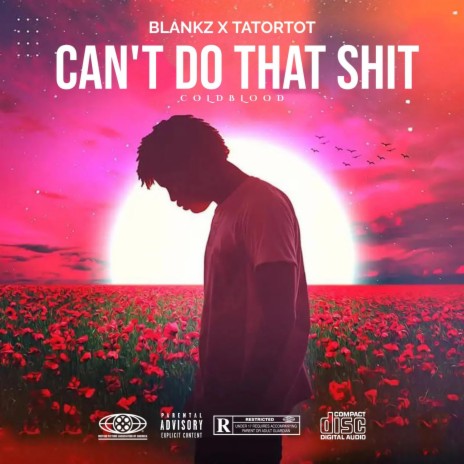 Can't Do That Shit (Blankz & Tatortot) | Boomplay Music
