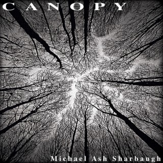 Canopy ([2024 remaster])