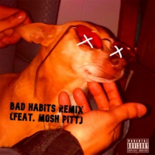 Bad Habits Remix (feat. MOSH PITT)