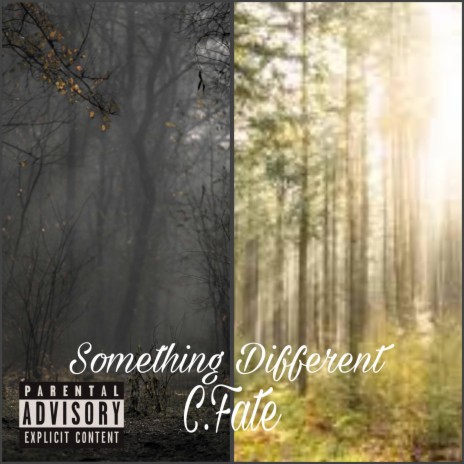 Something Different | Boomplay Music