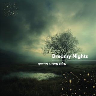 Dreamy Nights: Ambient Nocturnal Sounds