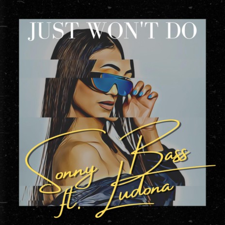 Just won't do ft. Ludona | Boomplay Music