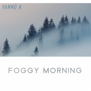 Foggy Morning