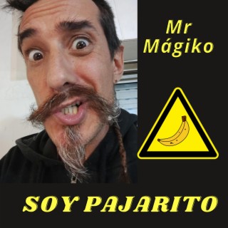 Soy pajarito