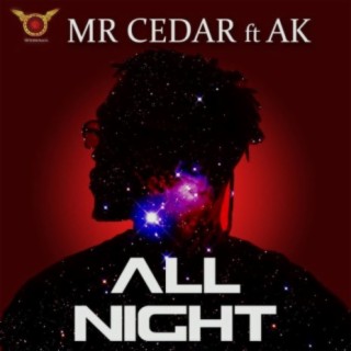 All Night ft. AK lyrics | Boomplay Music