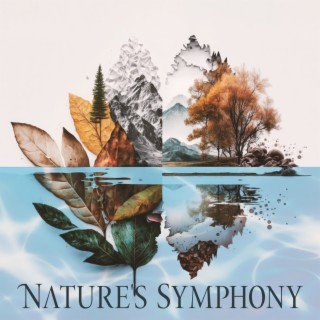 Nature's Symphony: A Celebration Of The Earth's Wonders (The Most Relaxing Sounds From Nature, Forest, Jungle & Ocean Ambience)