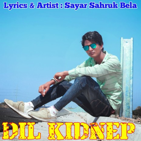 Dil kidnep | Boomplay Music