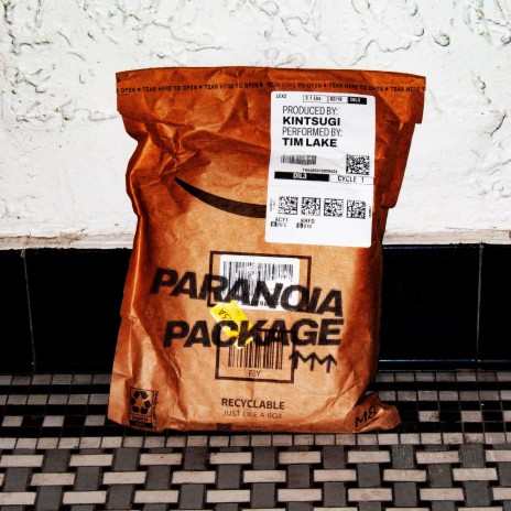 Paranoia Package ft. Tim Lake & 9souls | Boomplay Music