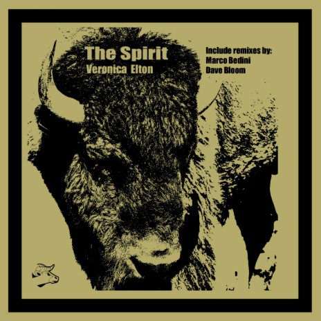 The Spirit | Boomplay Music