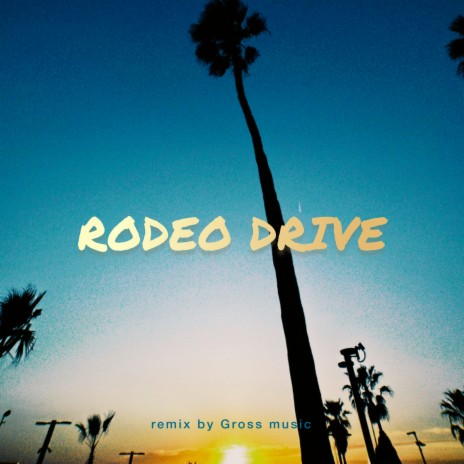 RODEO DRIVE (Gross Music Remix) | Boomplay Music