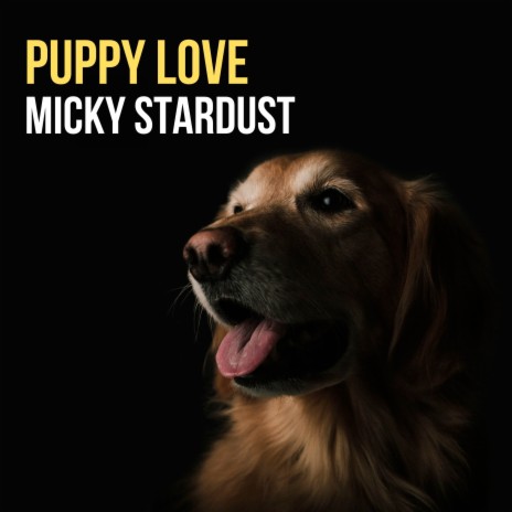 Puppy Love | Boomplay Music