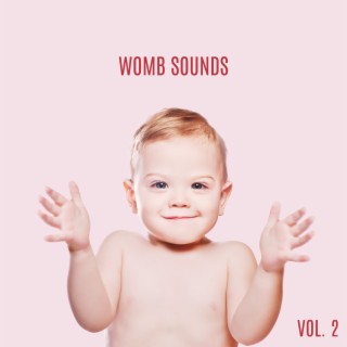Womb Sounds, Vol. 2 (Womb Sounds for Babies), Life in the Womb and Connection with Mother, Sounds Among the Uterus, The First Sounds of a Baby in the Womb
