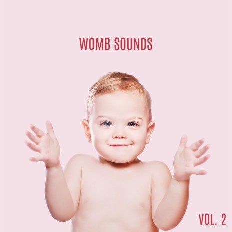 Womb Sounds, Vol. 2 ft. Newborn Baby Song Academy & Mother To Be Music Academy | Boomplay Music