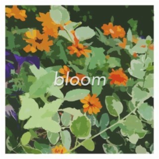 bloom