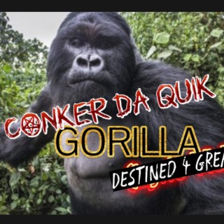 Gorilla