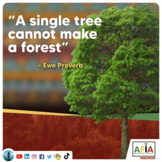 A Single Tree Cannot Make a Forest | AFIAPodcast | African Proverbs