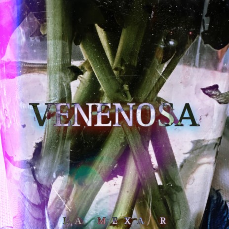 Venenosa | Boomplay Music