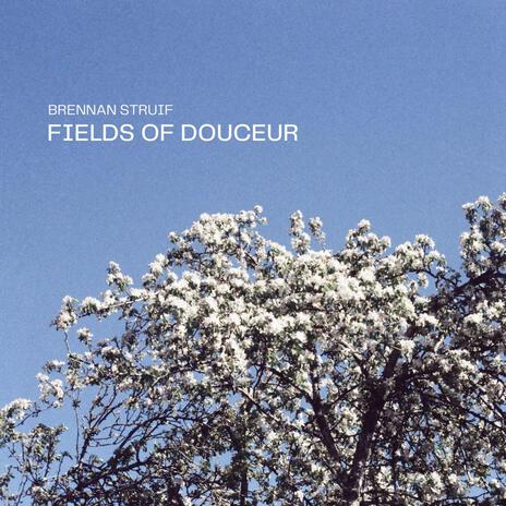 Fields Of Douceur | Boomplay Music