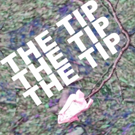 THE TIP