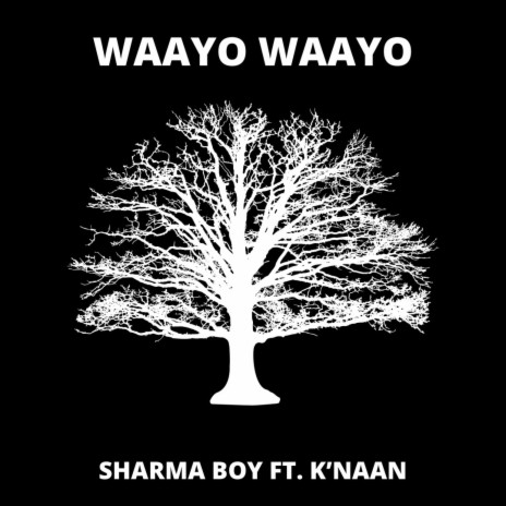 Waayo Waayo ft. K'naan | Boomplay Music