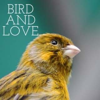 bird and love