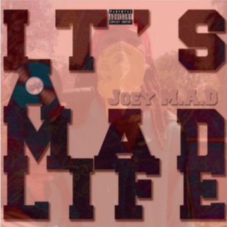 Its a mad life | Boomplay Music