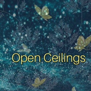 Open Ceilings
