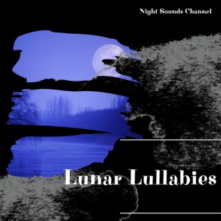 Lunar Lullabies: Calming Night in the Nature