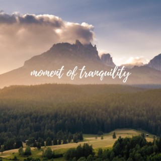 Moment of Tranquility