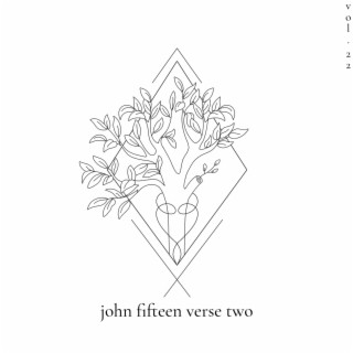 john fifteen verse two