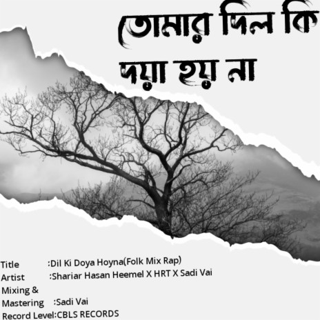 Dil Ki Doya Hoy Na (Folk Rap Mix) (feat. Sadi Vai & Shariar Hasan Heemel) | Boomplay Music
