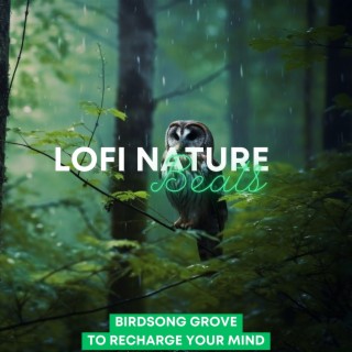 LoFi Chill: Birdsong Grove to Recharge Your Mind