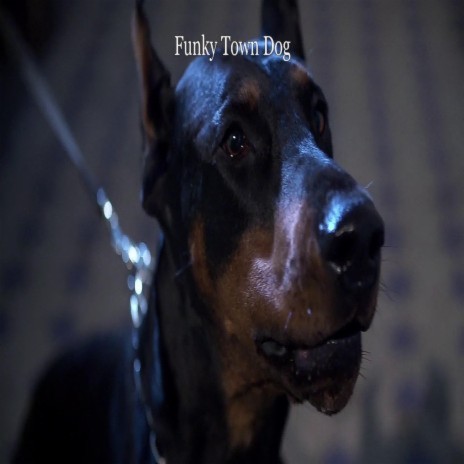 Funky Town Dog | Boomplay Music