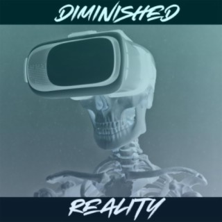 Diminished Reality