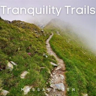 Tranquility Trails: Zen Massage Pathways