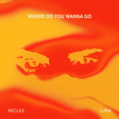 Where Do You Wanna Go ft. VJRM | Boomplay Music