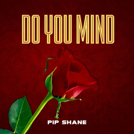 Do You Mind | Boomplay Music