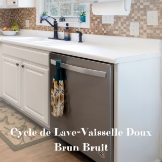Cycle de Lave-Vaisselle Doux Brun Bruit