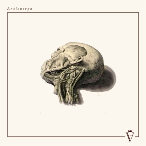 Anticuerpo | Boomplay Music