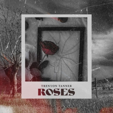 Roses | Boomplay Music