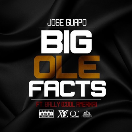 Big Ole Facts (feat. Cool Amerika) | Boomplay Music