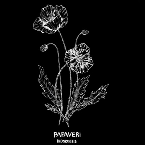 Papaveri | Boomplay Music