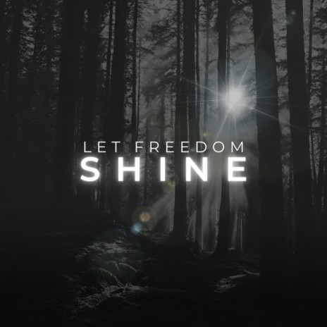 LET FREEDOM SHINE ft. Truth & Freedom Shine | Boomplay Music