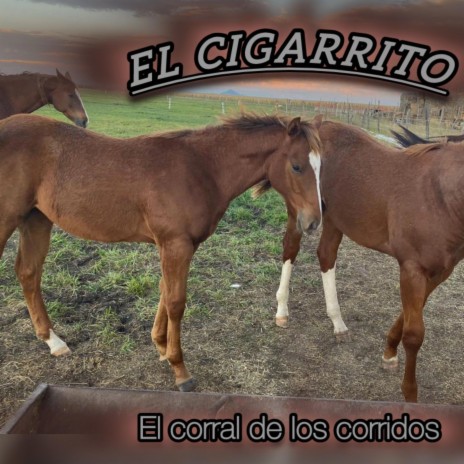 El cigarrito