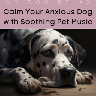 Calm Your Anxious Dog with Soothing Pet Music